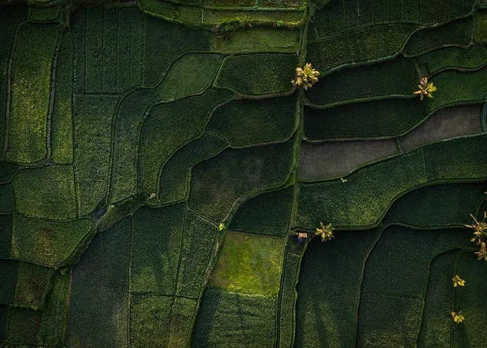 Anantara Ubud Bali リゾート パヤンガン