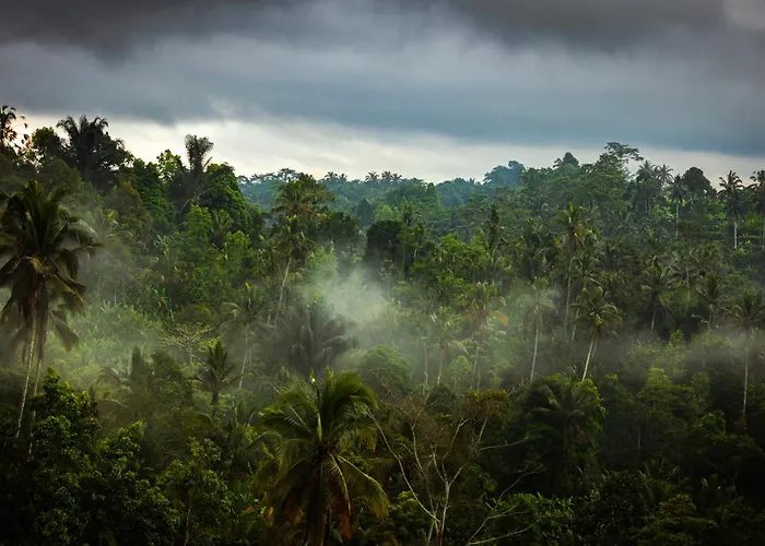Anantara Ubud Bali パヤンガン