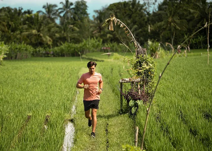Anantara Ubud Bali リゾート